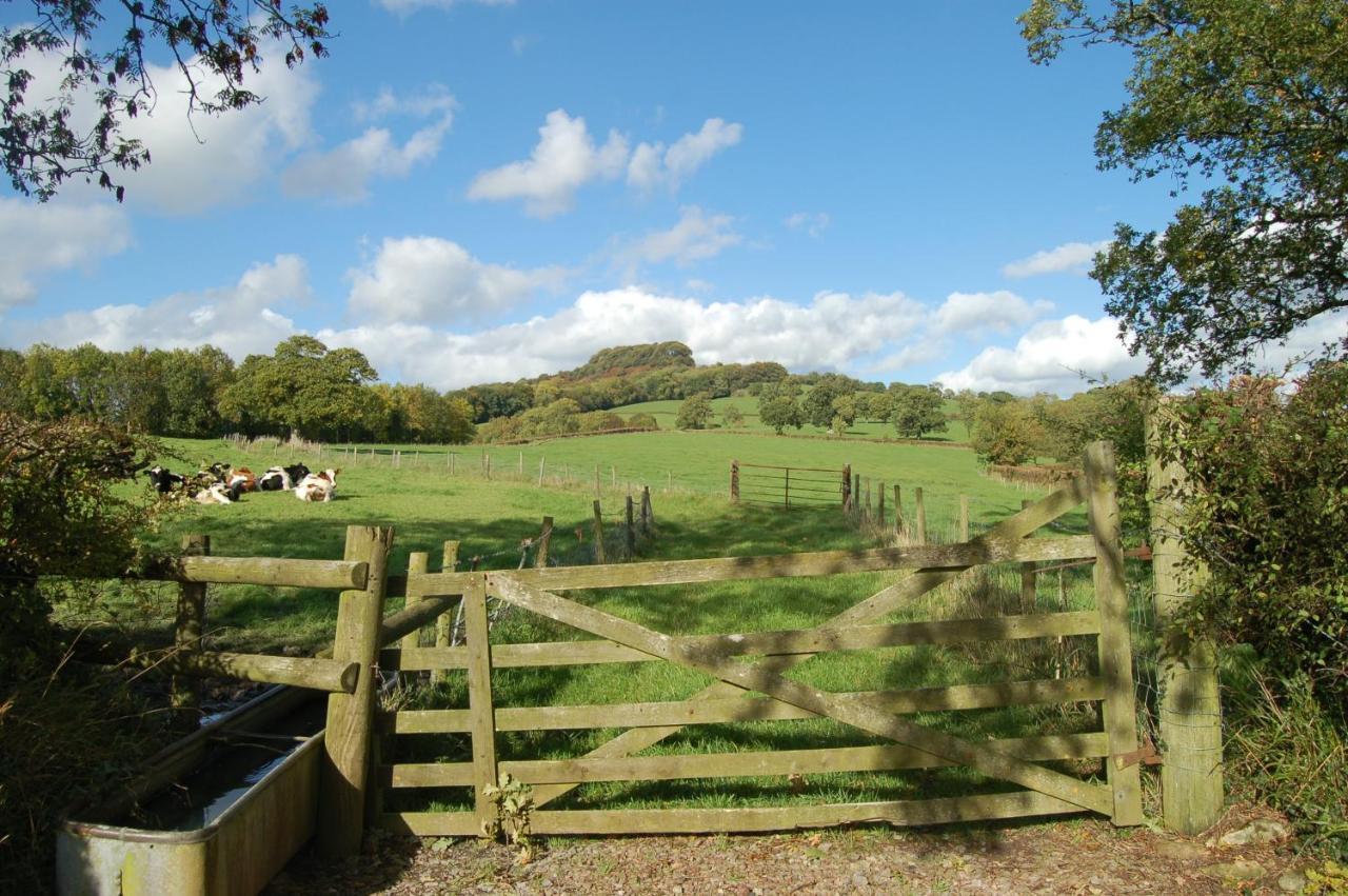 Orchard Barn, Woodhayes Villa Honiton Room photo